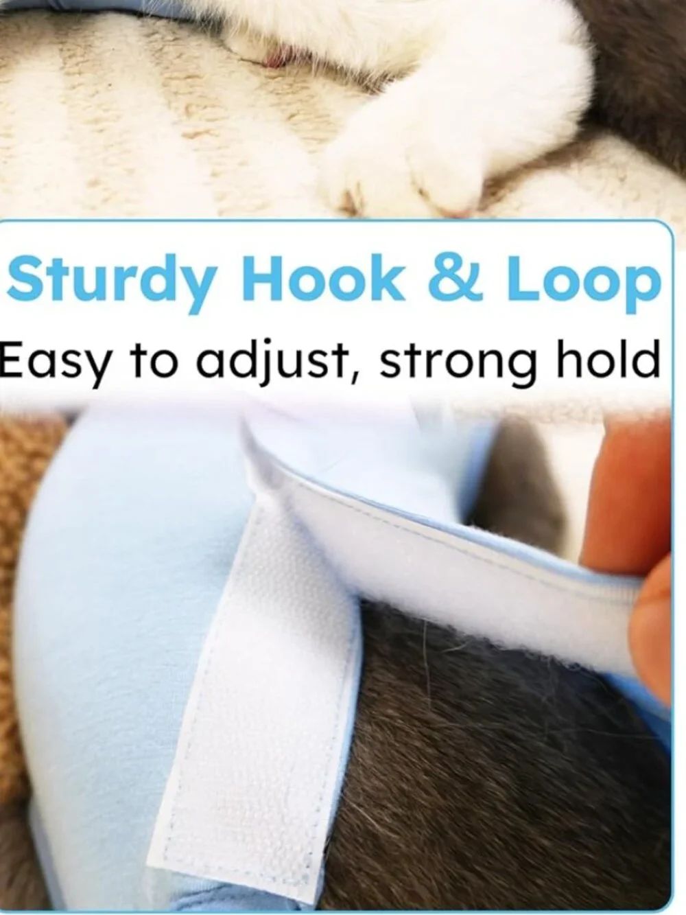 Pet Surgery Recovery Suit Cats Small Female Dogs FREE GIFT Size M NEW